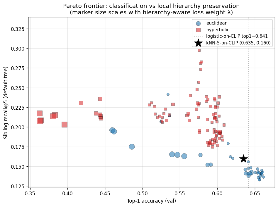 Scatter plot of all 150 runs. The x-axis is top-1 accuracy, the y-axis is sibling recall@5. Euclidean runs cluster at high accuracy but low recall. Hyperbolic runs trade accuracy for higher recall.